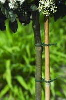 Nature bindband met rattenstaartsluiting 11,5 cm