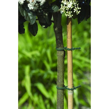 Nature bindband met rattenstaartsluiting 17 cm - afbeelding 2