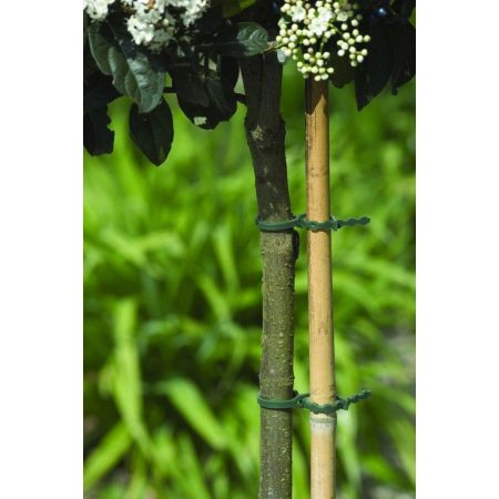 Nature bindband met rattenstaartsluiting 23 cm - afbeelding 2