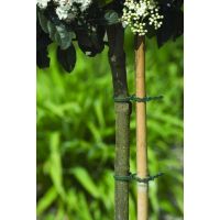 Nature bindband met rattenstaartsluiting 23 cm - afbeelding 2