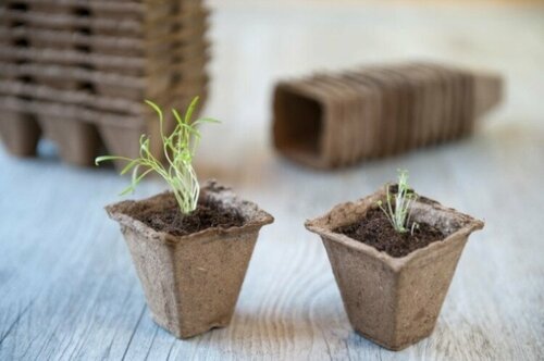 Nature biopotjes 8 x 8 cm set 14 stuks - afbeelding 2