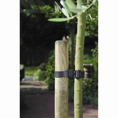 Nature boomband met gesp - afbeelding 2