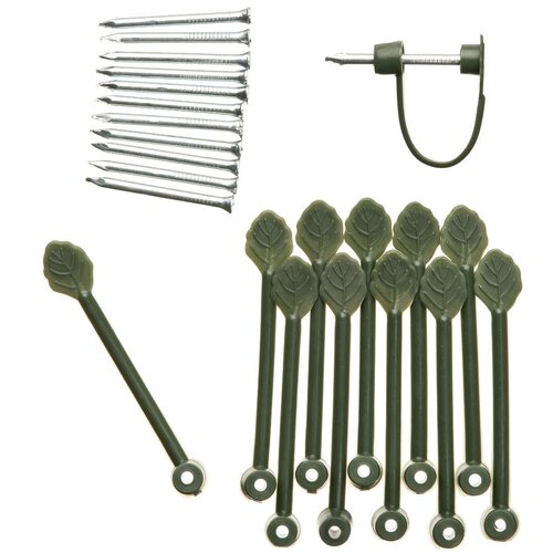 Nature clematisklemmen - afbeelding 2