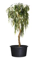 Nature container 30 liter