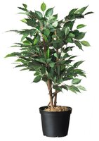 Nature container zwart 10 liter