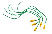 Nature elastische band met clip