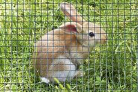 Nature gaas vierkant 50 cm x 3 m - afbeelding 2