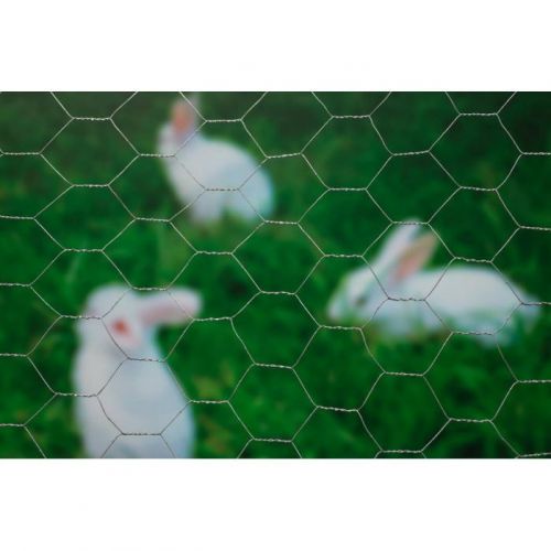 Nature gaas zeskantig verzinkt 50 cm x 5 m