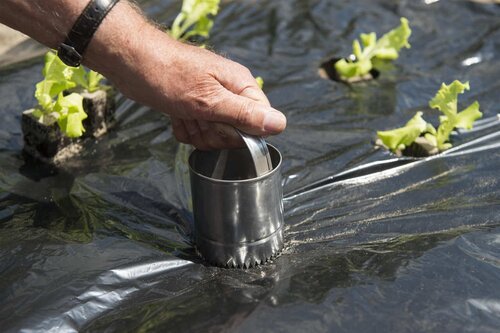 Nature gaten maker 8 cm - afbeelding 2