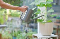 Nature gieter grijs 1.5 liter - afbeelding 2