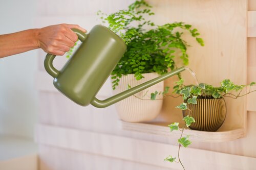 Nature gieter groen 1.8 liter - afbeelding 2