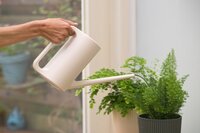 Nature gieter ivoor 1.5 liter - afbeelding 2