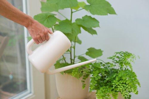 Nature gieter ivoor 1.8 liter - afbeelding 2