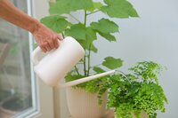 Nature gieter ivoor 1.8 liter - afbeelding 2