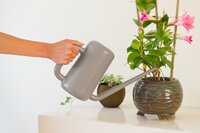 Nature gieter taupe 1.8 liter - afbeelding 2