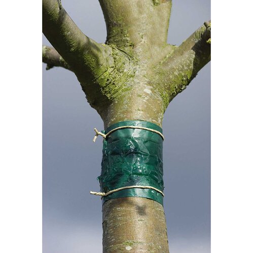 Nature insectenkleefband - afbeelding 1