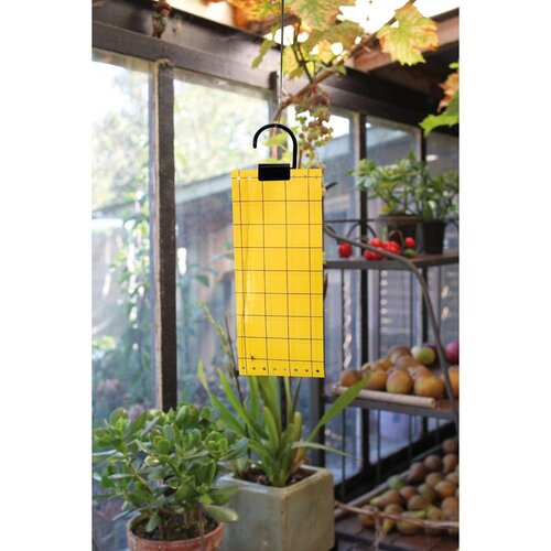 Nature insectenkleefvellen 5 stuks - afbeelding 1