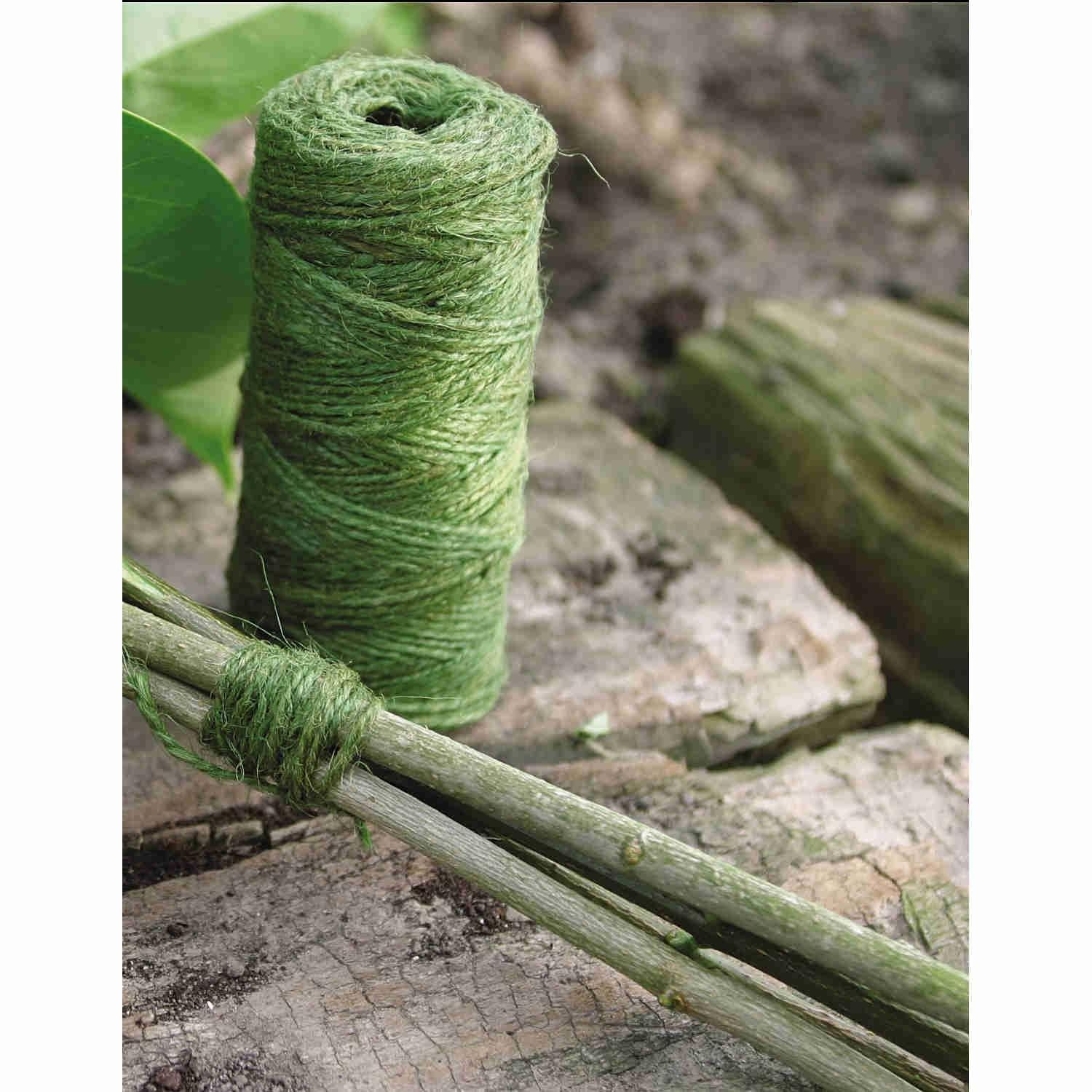 licentie brand gids Nature jute touw groen 250 meter - Bloembollen Kopen? | Goedkoop  Bloembollen online Bestellen!