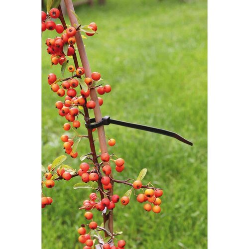 Nature kabelbinders tyraps nylon zwart 30 cm 25 stuks - afbeelding 2