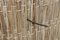 Nature kabelbinders tyraps nylon bruin 15 cm 25 stuks - afbeelding 2