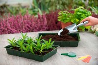 Nature kweekbak 23.5x35 cm 5 stuks - afbeelding 2