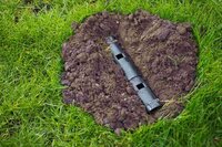 Nature mollenval buis model