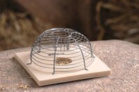 Nature muizenkooi draadmodel