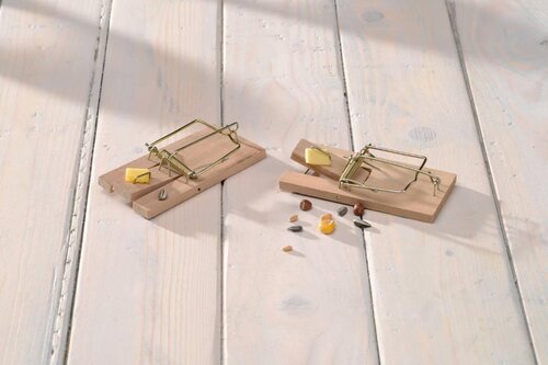 Nature muizenval hout 10x4,5 cm 2 stuks - afbeelding 2