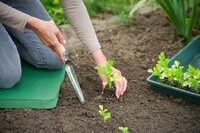 Nature onkruidschepje - afbeelding 2