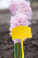 Nature plaatetiketten 10 stuks a 12,5 cm