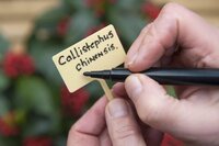 Nature plaatetiketten 13 cm 10 stuks