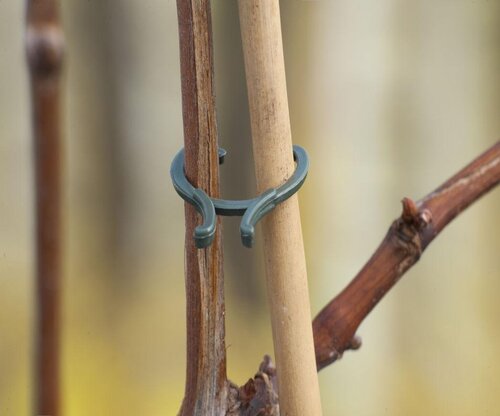 Nature plantenringen - afbeelding 1