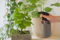 Nature plantenspuit grijs 0.5 liter - afbeelding 2