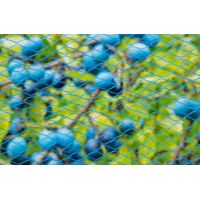 Nature tuinnet nano blauw 5x4 meter - afbeelding 2