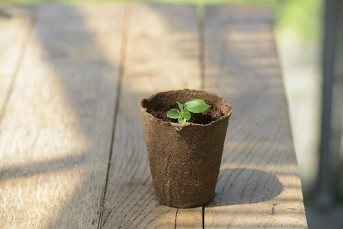 Nature turfpot 8 x 8 inclusief kokostablet 3 stuks - afbeelding 2