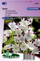 Nemophila Maculata zaden Spotty Bosliefje