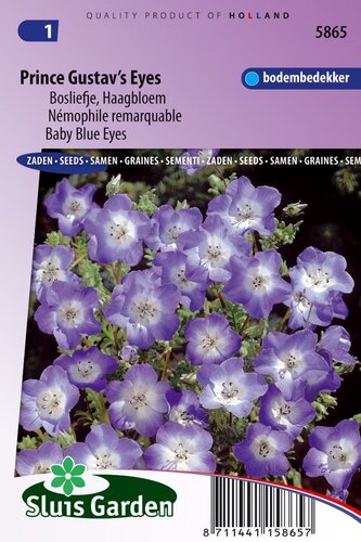 Nemophila zaden Prince Gustav's Eyes bosliefje