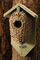Nestbuidel zeegras - afbeelding 2
