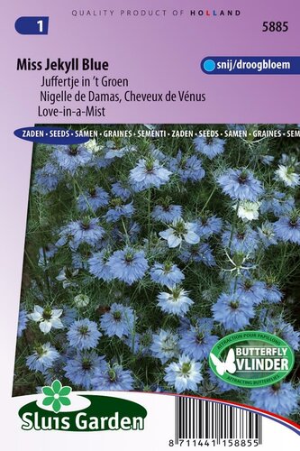 Nigella Damascena zaden Jekyll Blue juffertje in 't groen