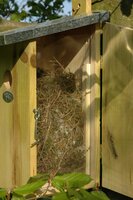 Observatie nestkast - afbeelding 3