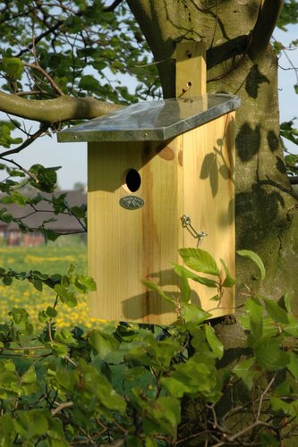 Esschert Design Observatie nestkast - afbeelding 2
