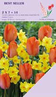 Perfect duo Narcis Martinette & Tulp Orange Joy 14 bollen