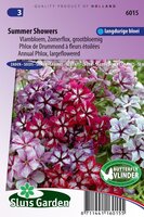 Phlox Drummondii zaden Summer Showers vlambloem