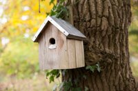 Esschert Design Pimpelmees vogelhuisje - afbeelding 2