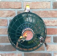 Pindakaaspot houder groen