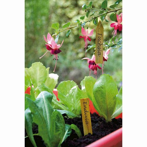 Plantetiket hout 10 cm 15 stuks - afbeelding 2
