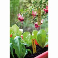 Plantetiket hout 10 cm 15 stuks - afbeelding 2