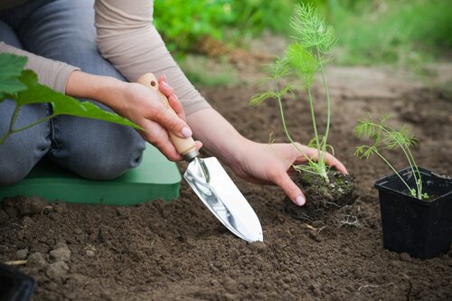 Nature plantschopje smal - afbeelding 2