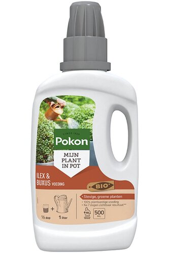 Pokon Bio buxus & ilex voeding 500 ml