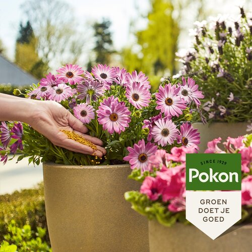 Pokon langwerkend strooibus 1800 gram - afbeelding 2